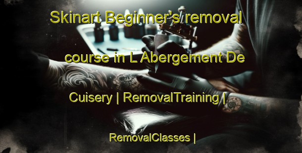 Skinart Beginner's removal course in L Abergement De Cuisery | RemovalTraining | RemovalClasses | SkinartTraining-France